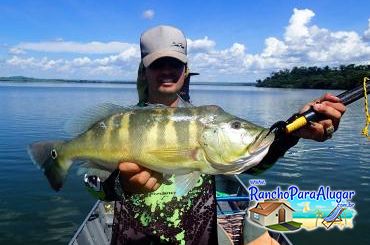 Agência de Pesca e Lazer - Piranga Tur Guia de Pesca e Piloteiro em Miguelopolis - Renan Peraro Guia de Pesca e Piloteiro em Miguelópolis