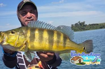 Chupa Cabra Guia de Pesca e Piloteiro em Miguelopolis - Chupa Cabra Guia de Pesca e Piloteiro em Miguelópolis