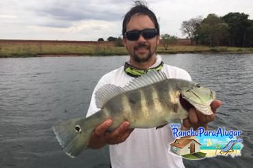 Grimaldo Mendonça Guia de Pesca e Piloteiro em Miguelopolis - Grimaldo Henrique Guia de Pesca e Piloteiro em Miguelópolis