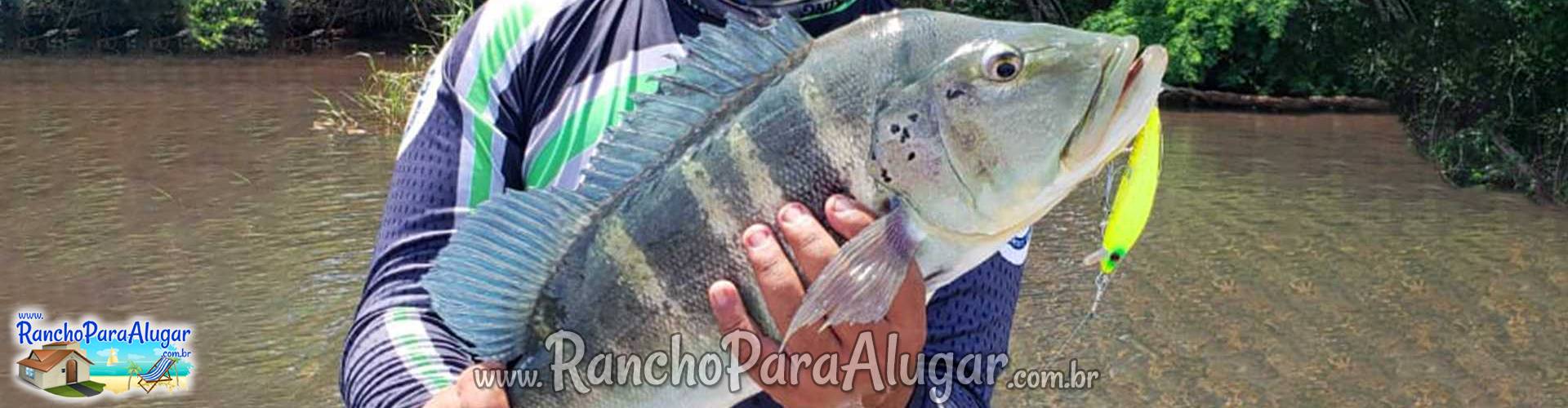 Wellington Japonês Guia de Pesca e Piloteiro em Miguelopolis