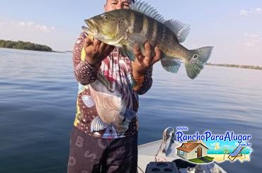 Wellington Japonês Guia de Pesca e Piloteiro em Miguelopolis - Wellington Japonês Guia de Pesca e Piloteiro em Miguelópolis
