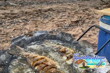Wellington Japonês Guia de Pesca e Piloteiro em Miguelopolis - Wellington Japonês Guia de Pesca e Piloteiro em Miguelópolis