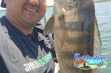 Wellington Japonês Guia de Pesca e Piloteiro em Miguelopolis - Wellington Japonês Guia de Pesca e Piloteiro em Miguelópolis