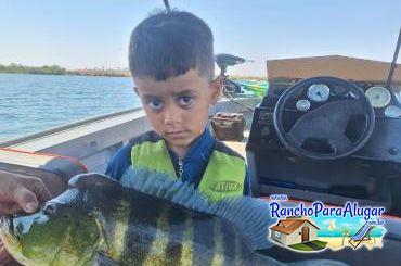 Wellington Japonês Guia de Pesca e Piloteiro em Miguelopolis - Wellington Japonês Guia de Pesca e Piloteiro em Miguelópolis