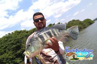 Wellington Japonês Guia de Pesca e Piloteiro em Miguelopolis - Wellington Pescador Guia de Pesca e Piloteiro em Miguelópolis