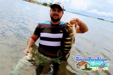 Wellington Japonês Guia de Pesca e Piloteiro em Miguelopolis - Wellington Pescador Guia de Pesca e Piloteiro em Miguelópolis