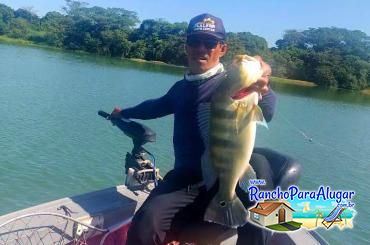 Paulo Benício Guia de Pesca e Piloteiro em Miguelopolis - Paulo Benício Guia de Pesca e Piloteiro em Miguelópolis