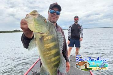 Pezao Guia de Pesca Guia de Pesca e Piloteiro em Miguelopolis - Pezao Guia de Pesca Guia de Pesca e Piloteiro em Miguelópolis