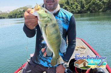 Pezao Guia de Pesca Guia de Pesca e Piloteiro em Miguelopolis - Pezao Guia de Pesca Guia de Pesca e Piloteiro em Miguelópolis